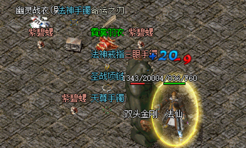 轻变私服传奇在幻境八层和因魔洞中，道士哪个地方更需要提高自己的生存能力